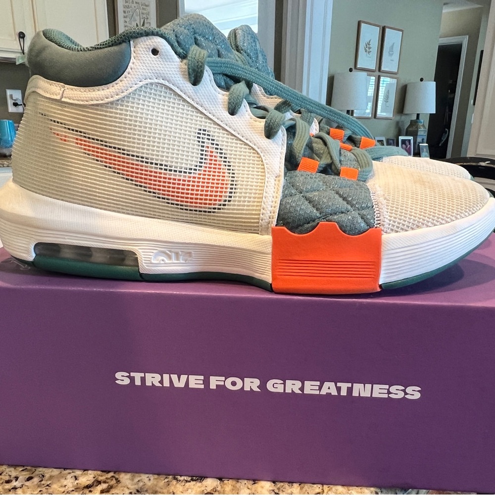 NIKE LEBRON WITNESS VIII